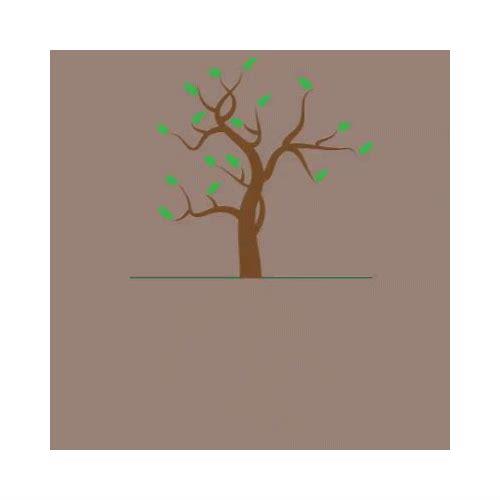 从种子到大树：MG动画展示树木生长的过程