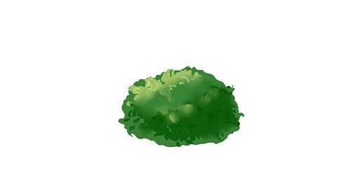 植物MG动画：视觉盛宴中的科学与艺术