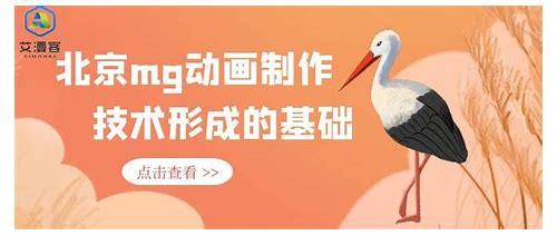 北京mg动画制作公司简介