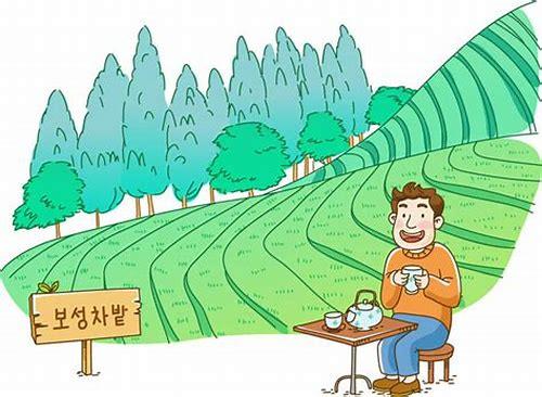 茶动画MG：艺术与文化的完美融合