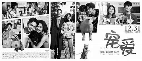 深圳专题片：见证奇迹之城的崛起