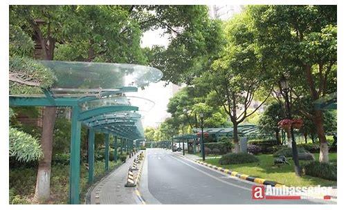 徐汇新篇章：探索历史与未来的交汇点