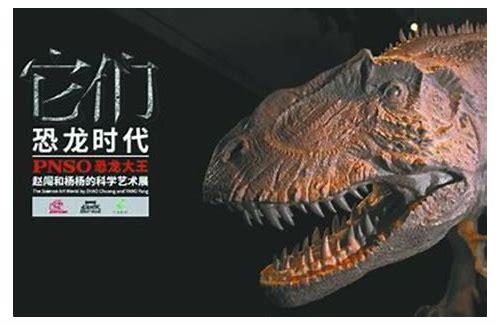 深圳做宣传片：展现城市魅力，助力品牌腾飞