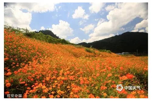 深圳宣传片拍摄报价全解析：如何精准把控预算与品质？