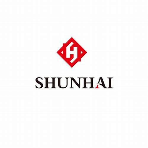 深圳大学宣传片遇上垫底辣妹：青春逆袭与创意碰撞的视觉盛宴