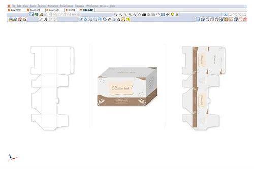 创新设计，助力品牌崛起：iPad上的品牌包装设计软件