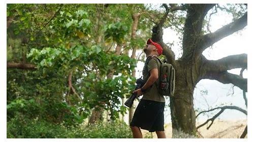 深度解码｜深圳最新城市宣传片背后的创新叙事与全球视野