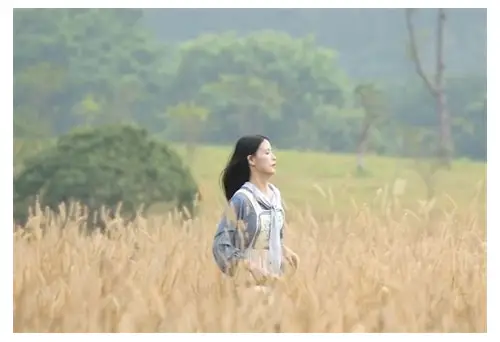 深圳光伏企业宣传片制作概述