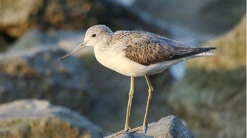 可信赖的深圳宣传片拍摄概述